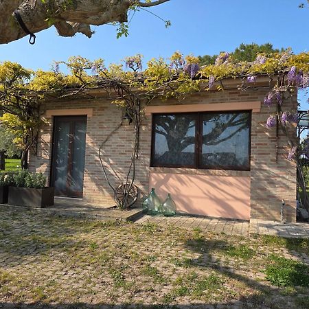 Ferienwohnung Casa Sabbatini SantʼElpidio a Mare Exterior foto