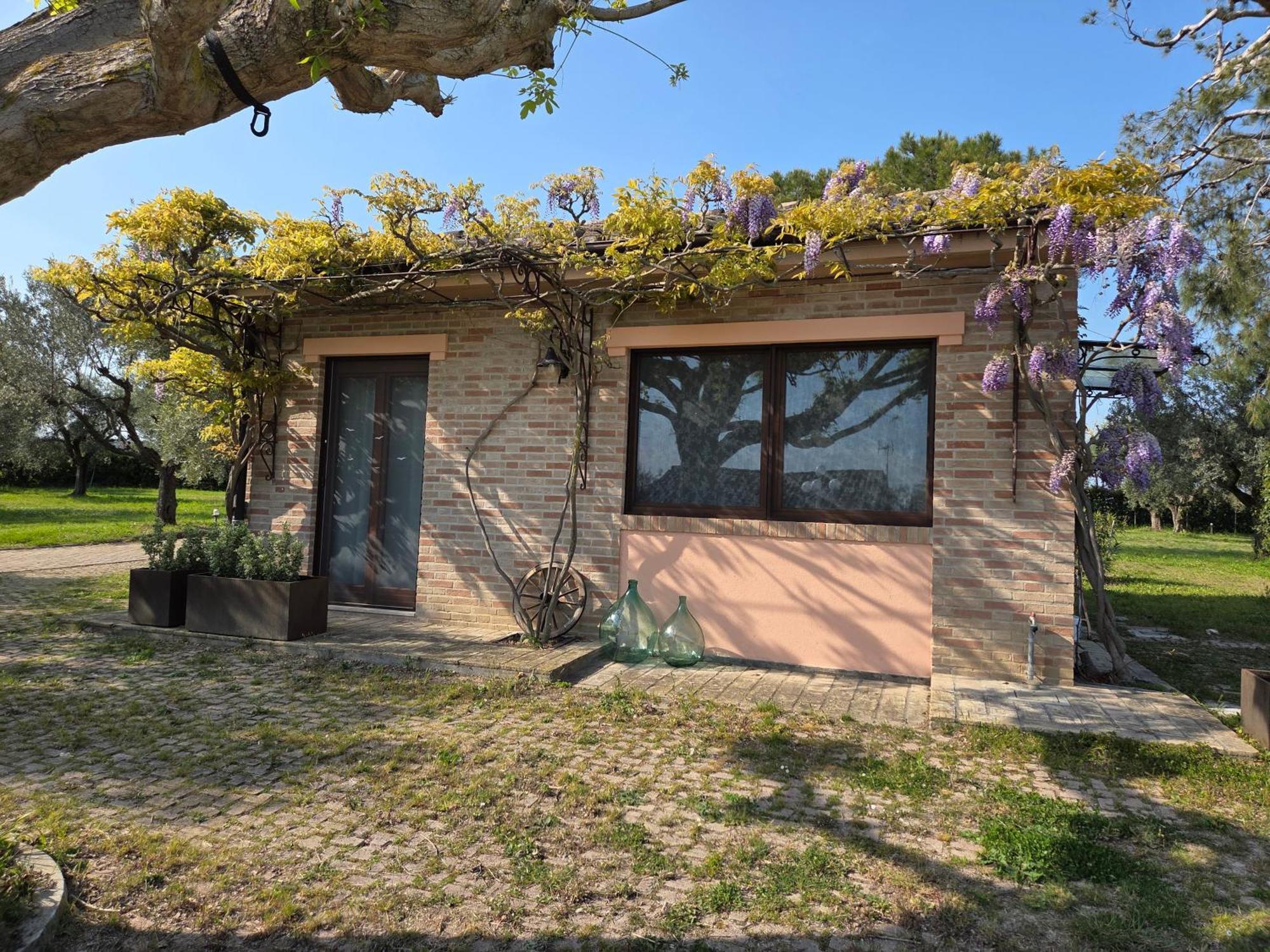 Ferienwohnung Casa Sabbatini SantʼElpidio a Mare Exterior foto